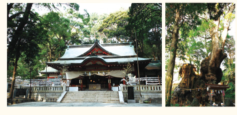 来宮神社